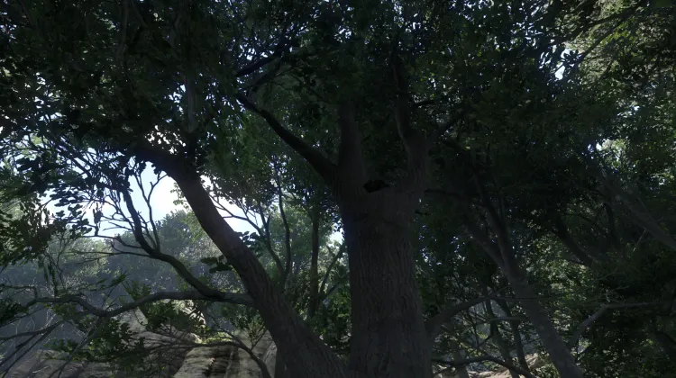 Sous-catégorie sans titre