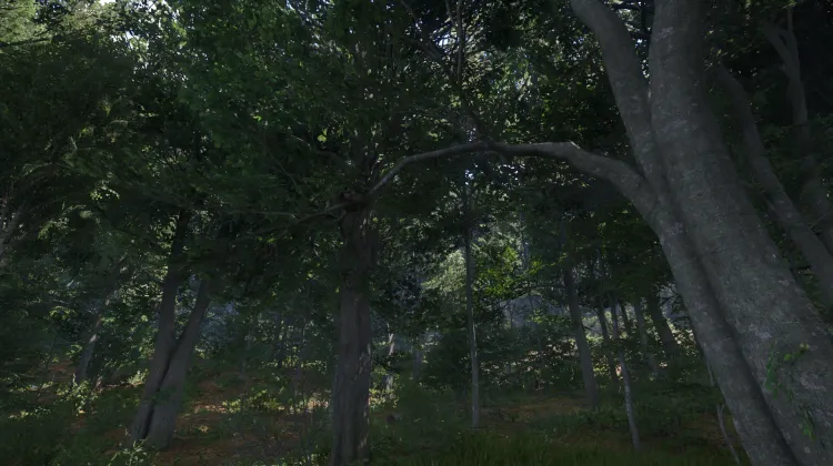 Sous-catégorie sans titre