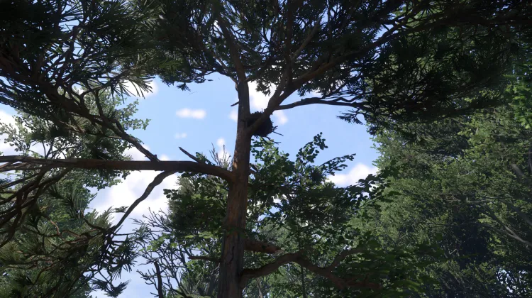 Sous-catégorie sans titre