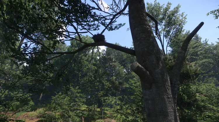 Sous-catégorie sans titre