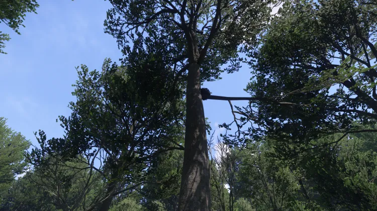 Sous-catégorie sans titre