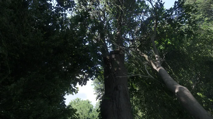 Sous-catégorie sans titre