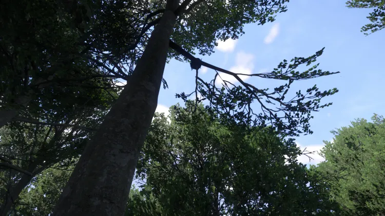 Sous-catégorie sans titre