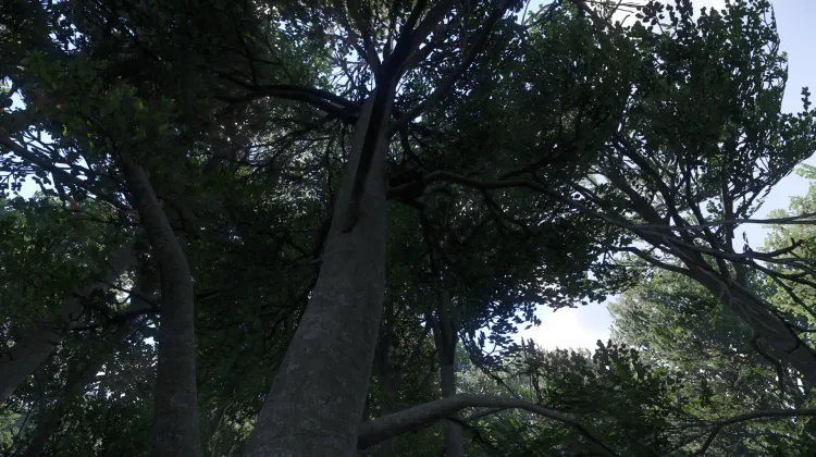 Sous-catégorie sans titre