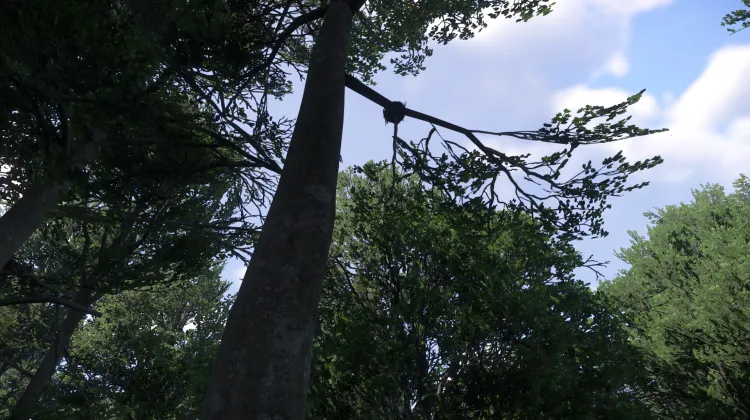 Sous-catégorie sans titre