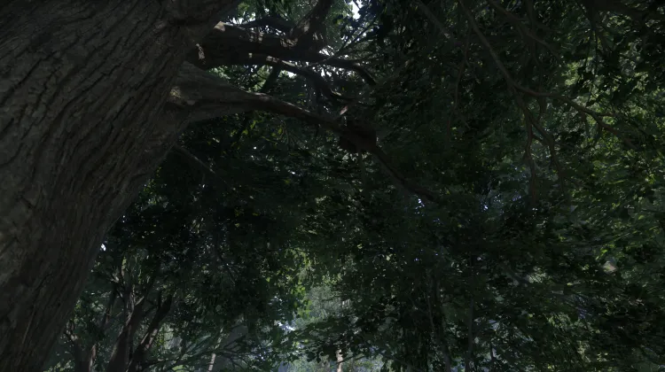 Sous-catégorie sans titre