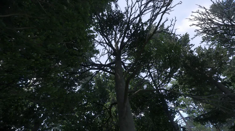 Sous-catégorie sans titre