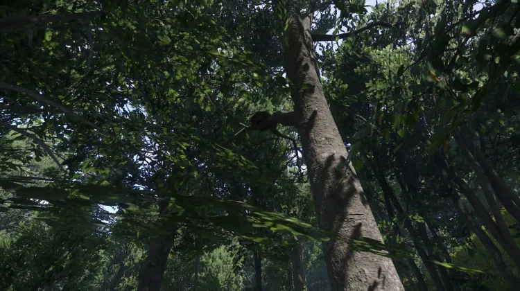 Sous-catégorie sans titre