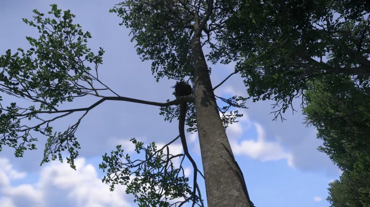 Sous-catégorie sans titre