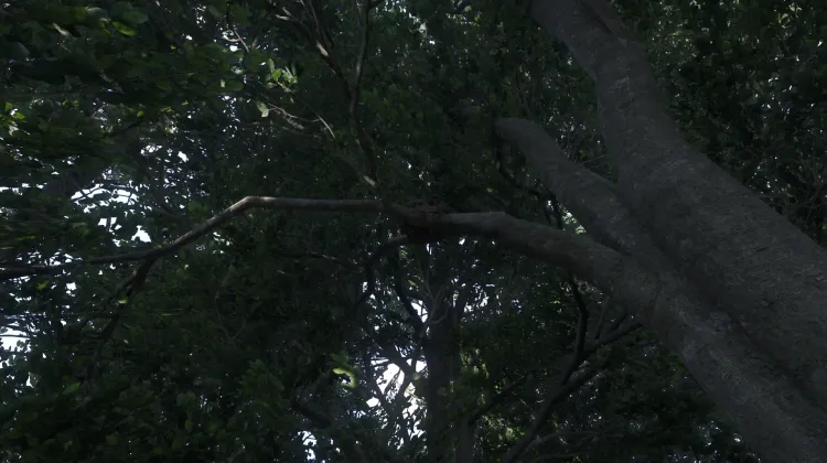 Sous-catégorie sans titre