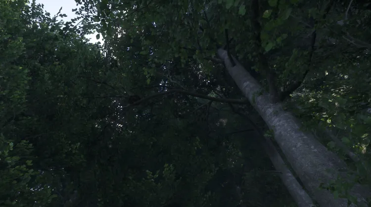 Sous-catégorie sans titre