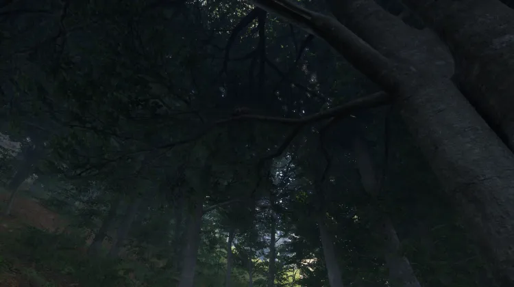 Sous-catégorie sans titre