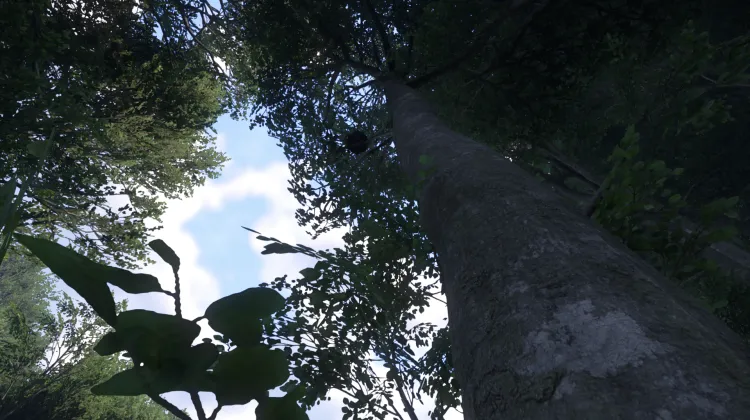 Sous-catégorie sans titre