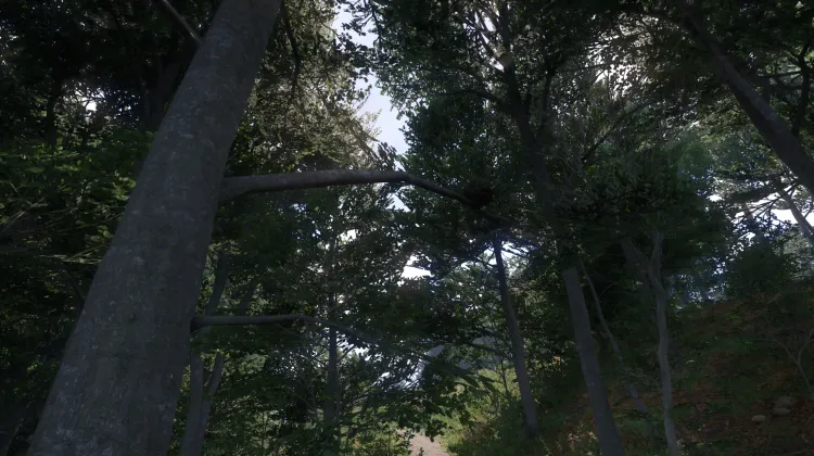 Sous-catégorie sans titre