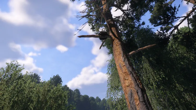 Sous-catégorie sans titre