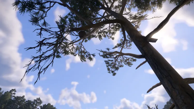 Sous-catégorie sans titre