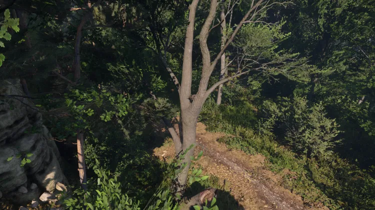 Sous-catégorie sans titre