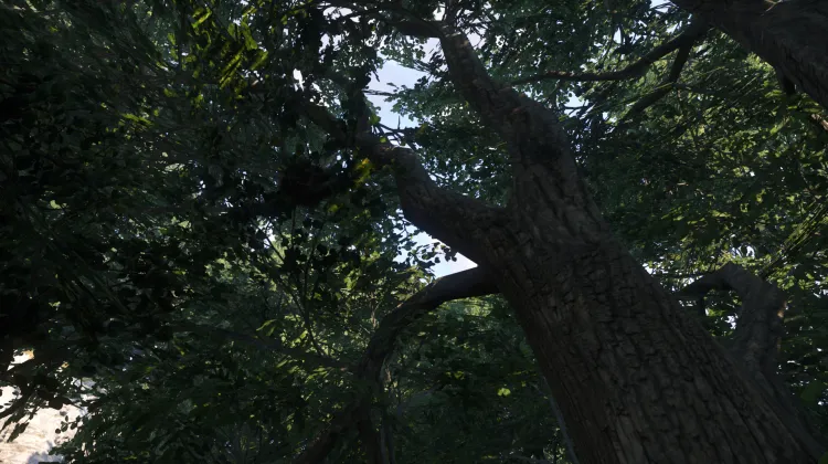 Sous-catégorie sans titre