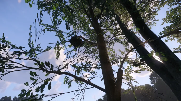 Sous-catégorie sans titre