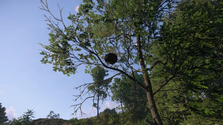 Sous-catégorie sans titre