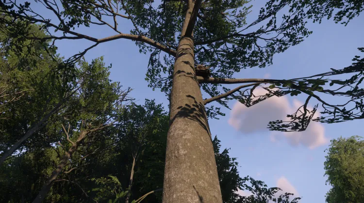 Sous-catégorie sans titre