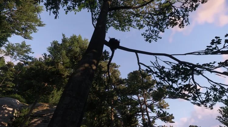 Sous-catégorie sans titre