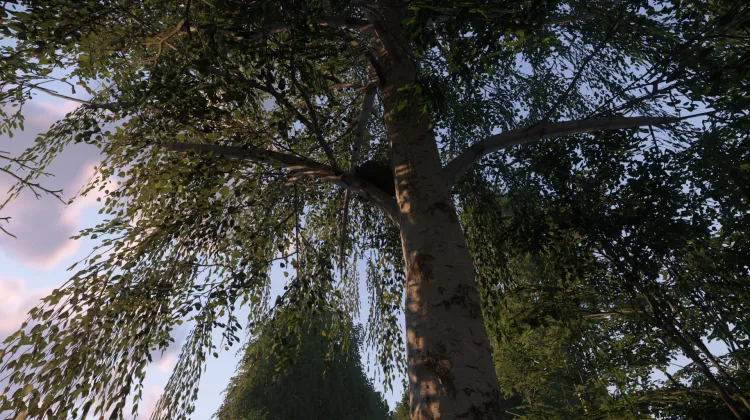 Sous-catégorie sans titre