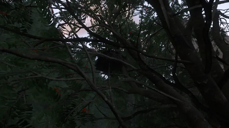 Sous-catégorie sans titre