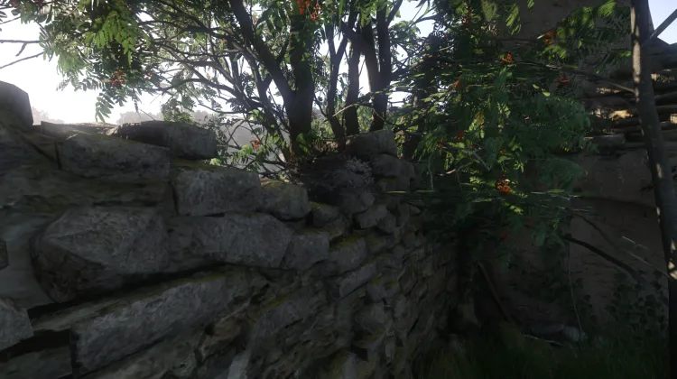 Sous-catégorie sans titre