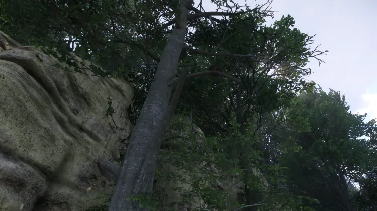 Sous-catégorie sans titre