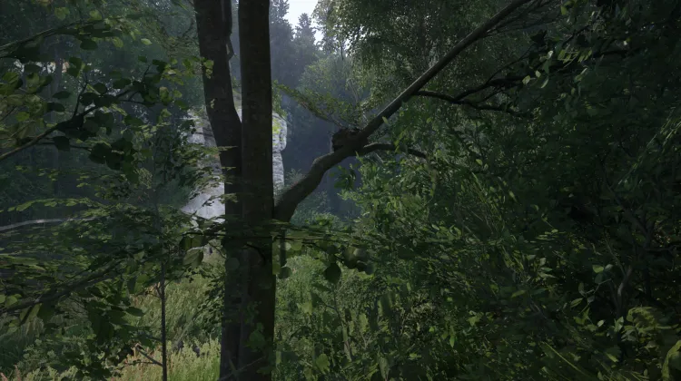 Sous-catégorie sans titre