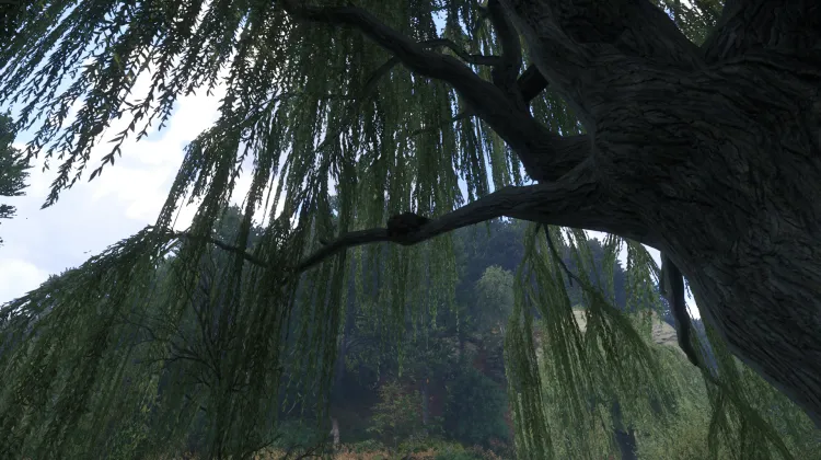 Sous-catégorie sans titre