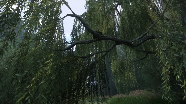 Sous-catégorie sans titre