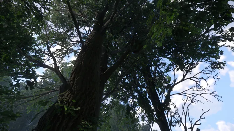 Sous-catégorie sans titre