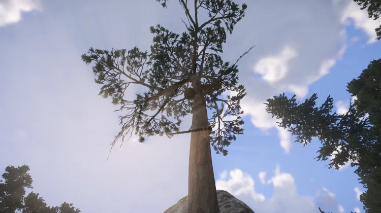 Sous-catégorie sans titre