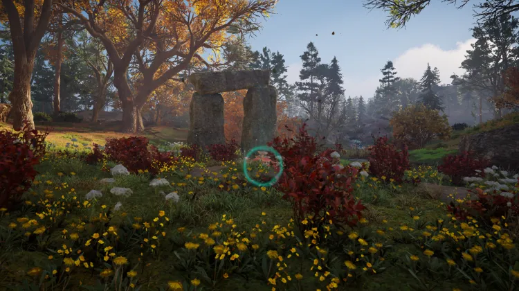 Sous-catégorie sans titre