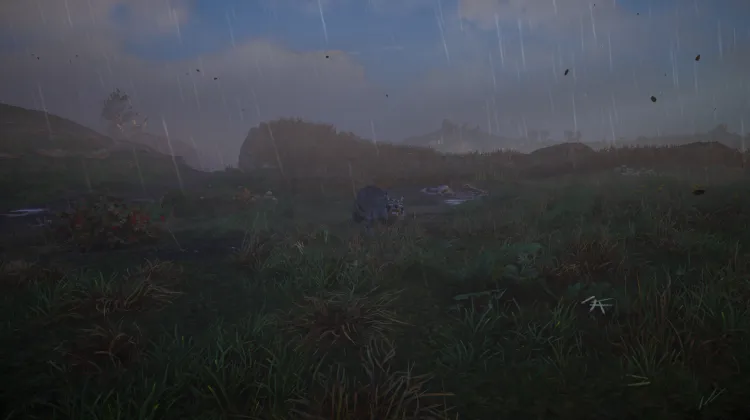 Wildcats of the Weald