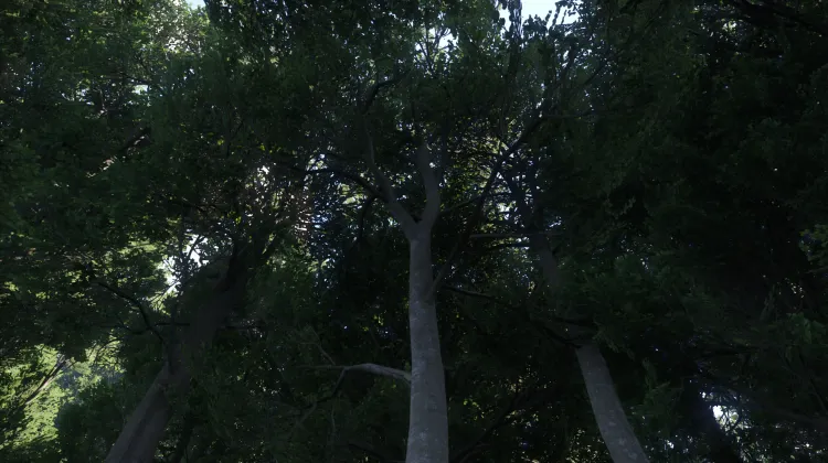 Sous-catégorie sans titre