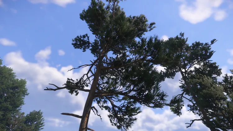 Sous-catégorie sans titre