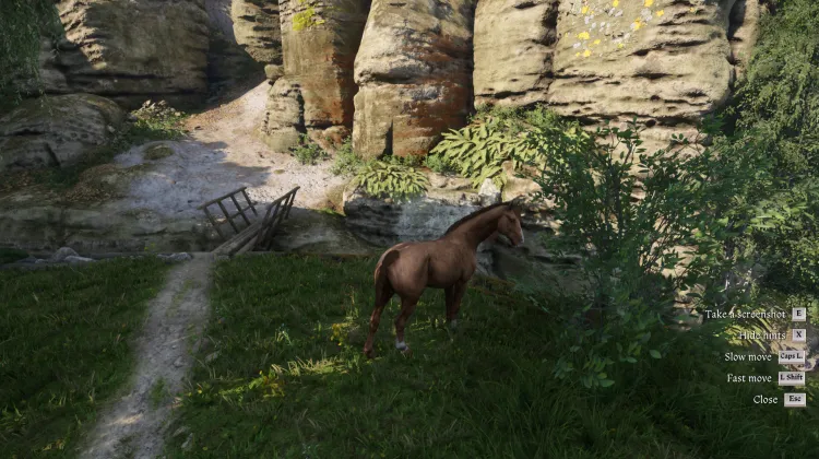 Sous-catégorie sans titre