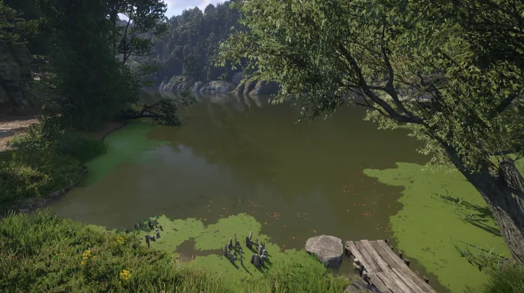 Sous-catégorie sans titre