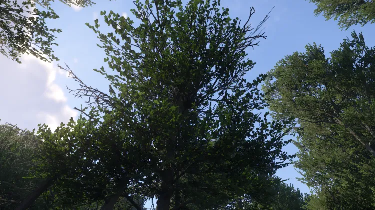 Sous-catégorie sans titre