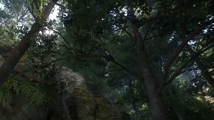 Sous-catégorie sans titre