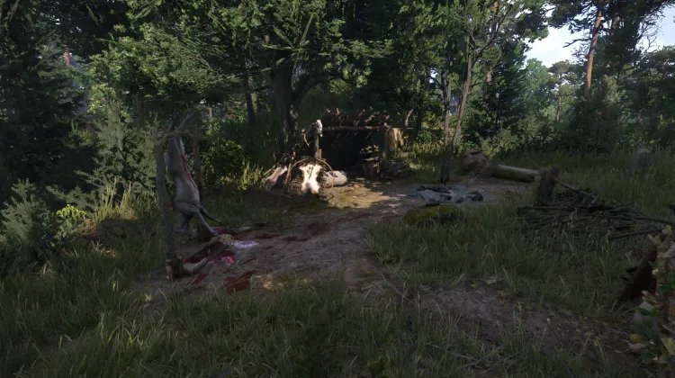 Campement de braconnier