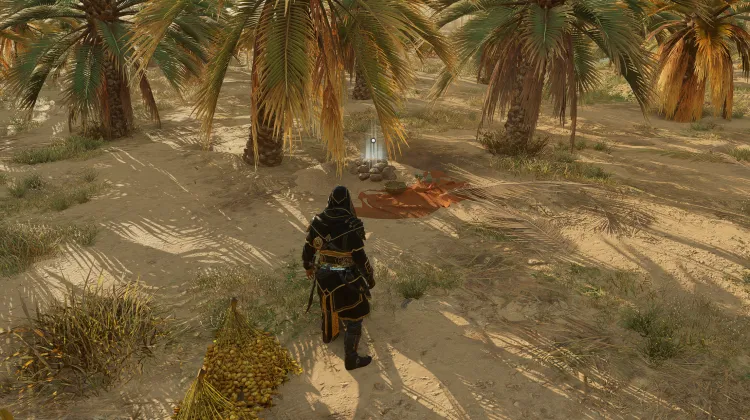 Freude unter weinenden Palmen - Lösung