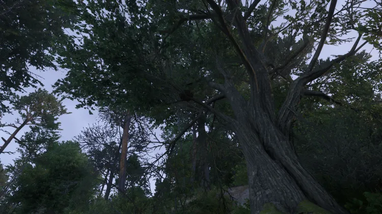 Sous-catégorie sans titre