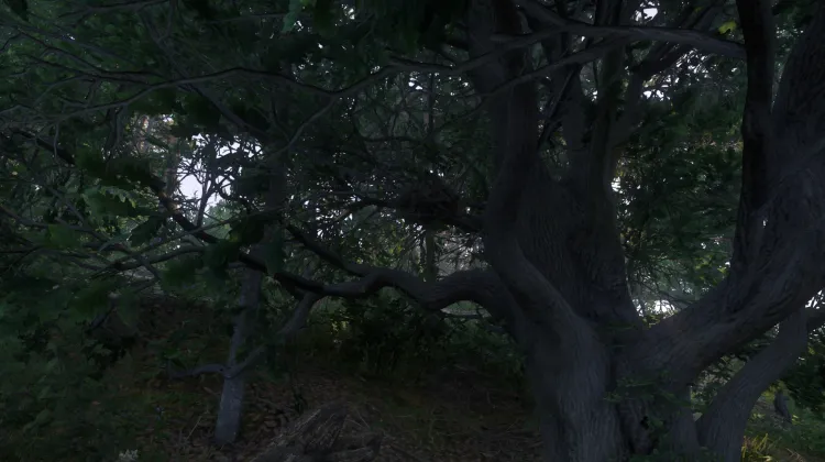 Sous-catégorie sans titre