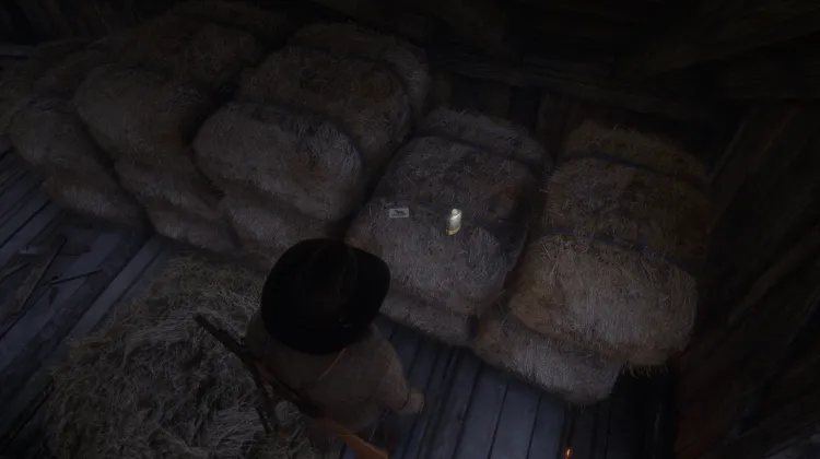 Breeds of Horses - Card #10