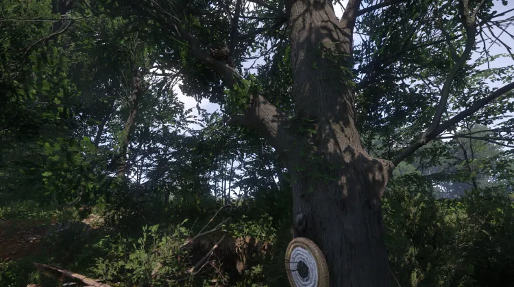 Sous-catégorie sans titre