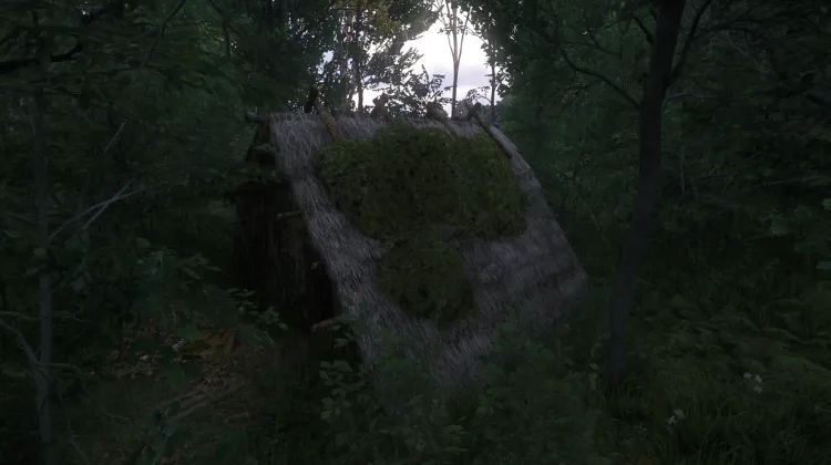 Abri envahi par la végétation